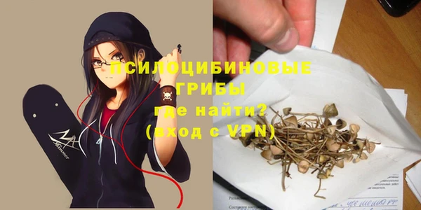 тгк Алзамай