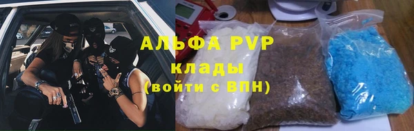 тгк Алзамай