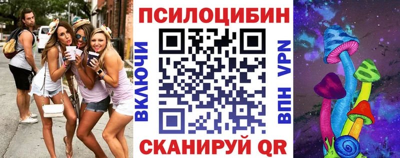 наркота  Саров  Галлюциногенные грибы Psilocybe 