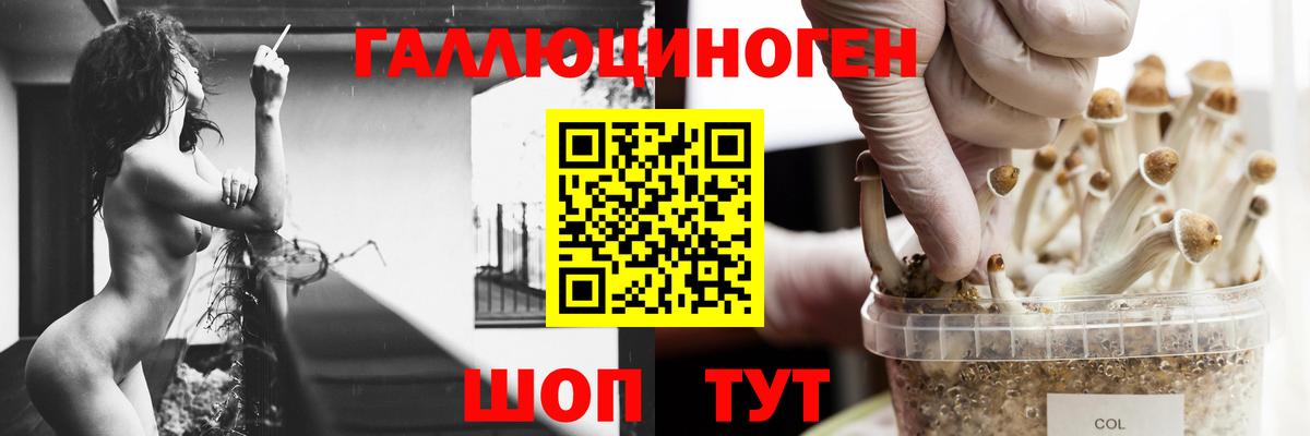 Галлюциногенные грибы мицелий  Галлюциногенные грибы Magic Shrooms  Вход с VPN  Саров 